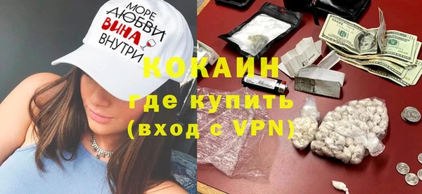 крисы Козельск