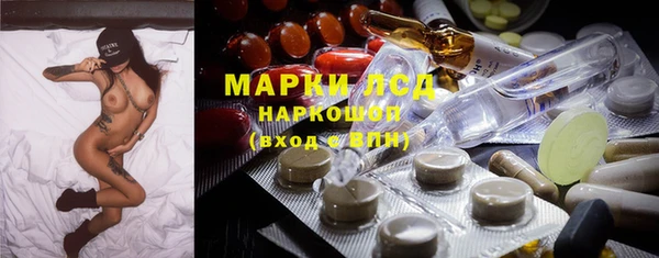 крисы Козельск