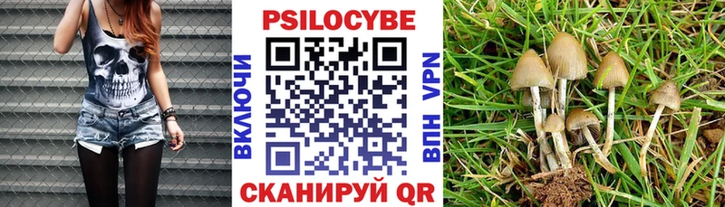 Купить закладки  Вельск  Псилоцибиновые грибы мухоморы 